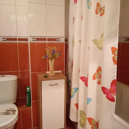 Splendid Sunny Seasons *