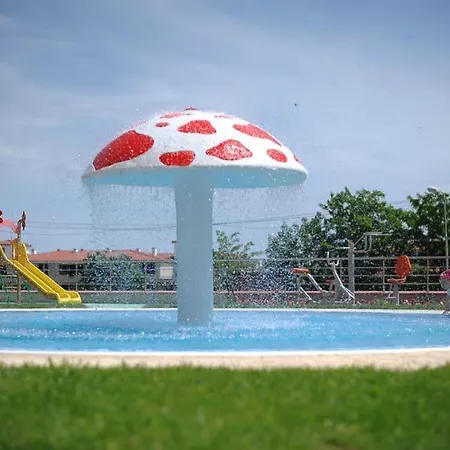 Splendid Sunny Seasons *